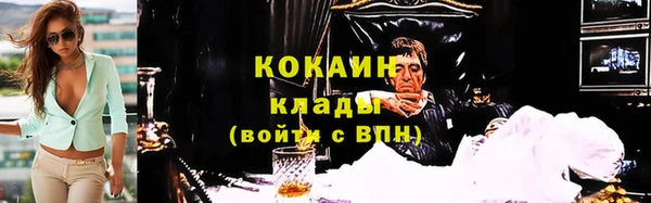 ПСИЛОЦИБИНОВЫЕ ГРИБЫ Абаза