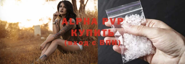 крисы Алексин
