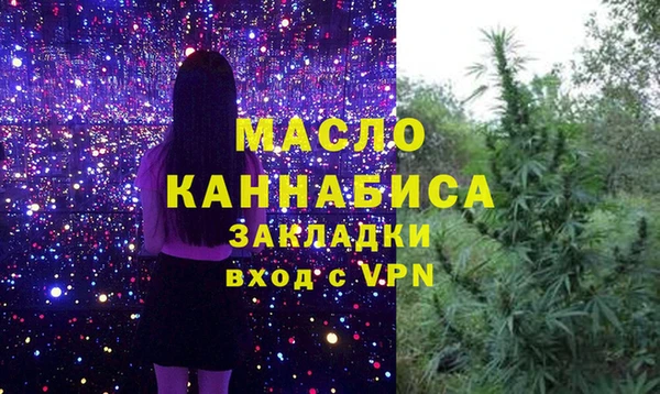 дмт Пересвет