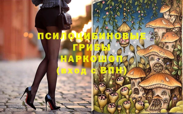 индика Алексеевка