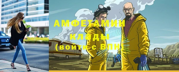 ПСИЛОЦИБИНОВЫЕ ГРИБЫ Абаза