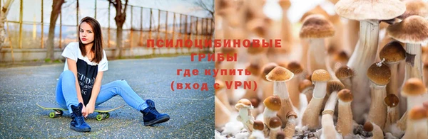 индика Алексеевка